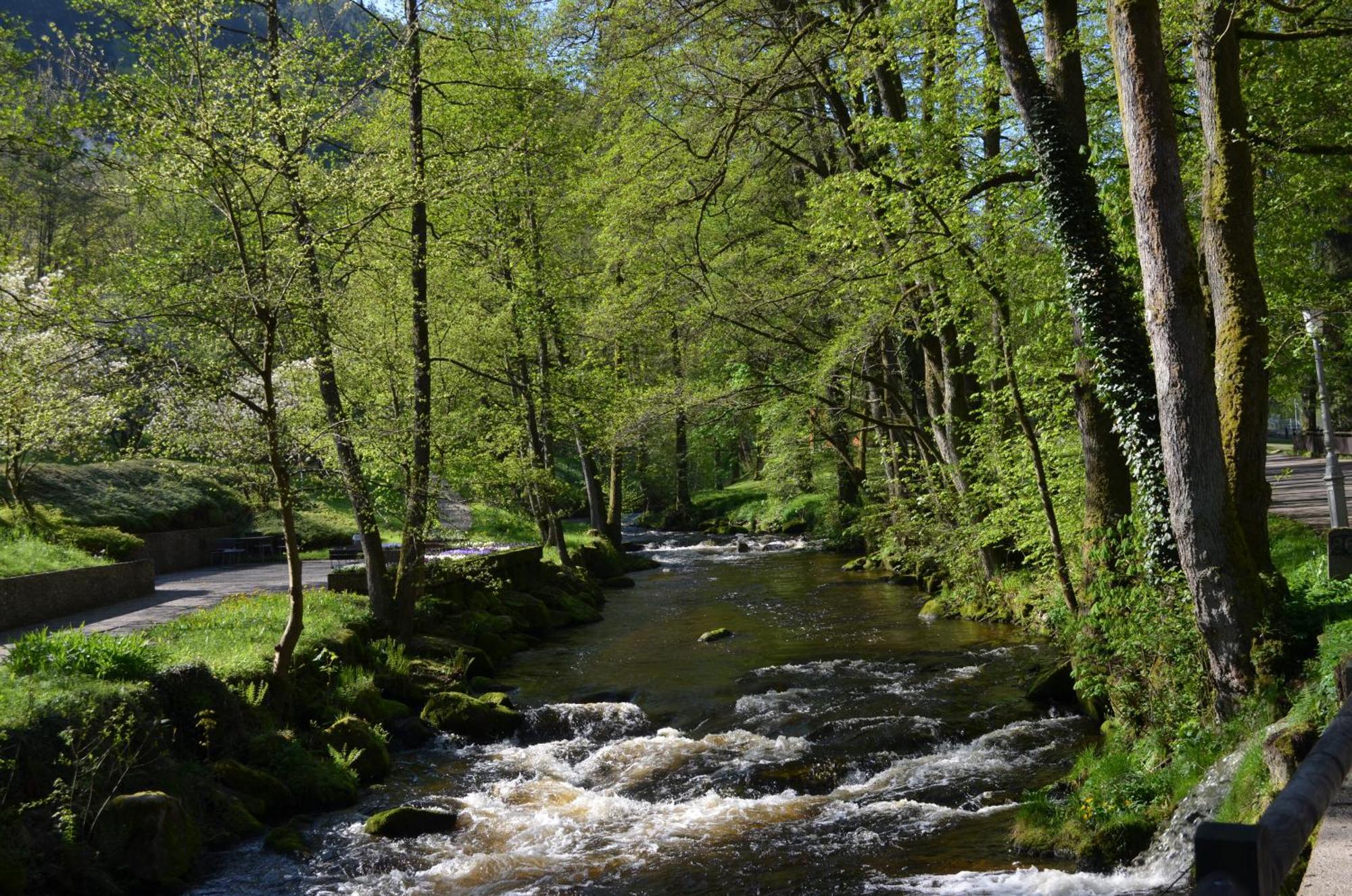 Wildbad Luft Daire Bad Wildbad Dış mekan fotoğraf